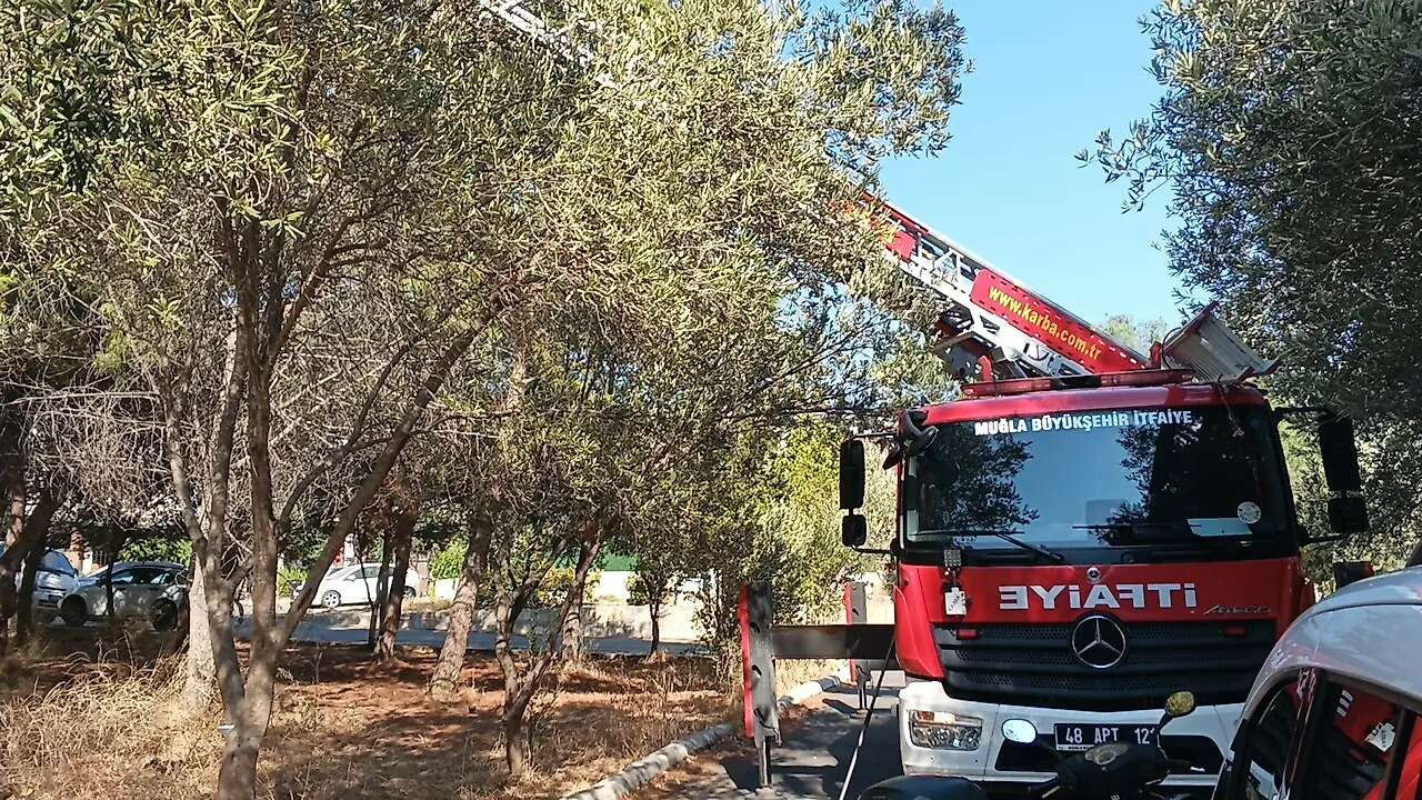 Muğla’da İtfaiyeden Yavru Kedi İçin Yürekleri Isıtan Kurtarma 1